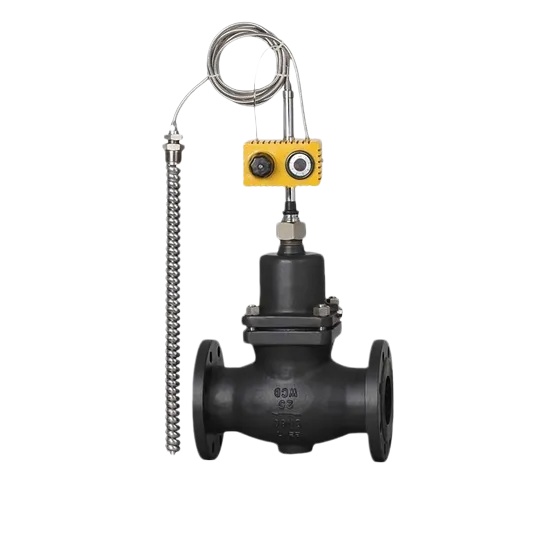 digital thermostatic valve self actuated temperature regulator (1)