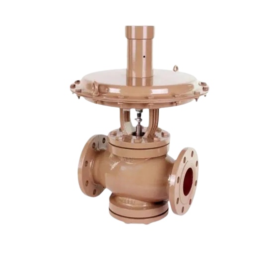 zzvn self operated steam pressure regulating valve (2)